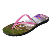 ミルクの中で可愛い三色のビーグル犬の子犬 –  ビーチサンダル (アングル)