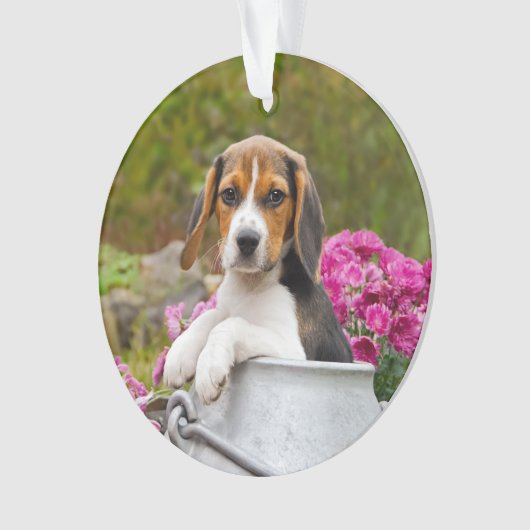 ミルクを作るかわいい三色のベグル犬の子犬 – 』 オーナメント (正面)