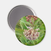 ミルクウィードかわいらしは マグネット (正面/裏面)