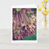 ミルクウィードとハエ カード (黄色い花)