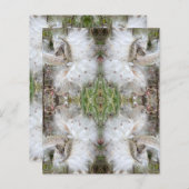 ミルクウィードのポッドを開く |シルクの種子 |スクラップブック (正面/裏面)