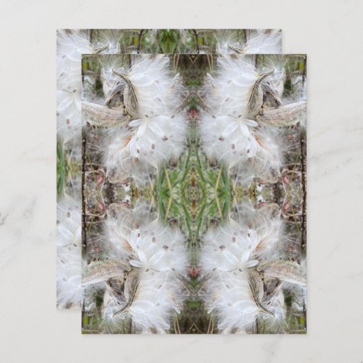 ミルクウィードのポッドを開く |シルクの種子 |スクラップブック (正面/裏面)