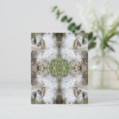 ミルクウィードのポッドを開く |シルクの種子 |スクラップブック (スタンド正面)