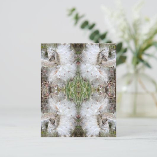 ミルクウィードのポッドを開く |シルクの種子 |スクラップブック (スタンド正面)