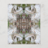 ミルクウィードのポッドを開く |シルクの種子 |スクラップブック (裏面)