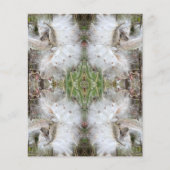 ミルクウィードのポッドを開く |シルクの種子 |スクラップブック (正面)