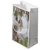 ミルクウィードのポッドを開く |シルクの種子 | スモールペーパーバッグ (裏面アングル)