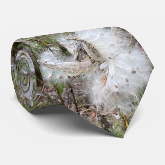 ミルクウィードのポッドを開く |シルクの種子 | ネクタイ (ロール)