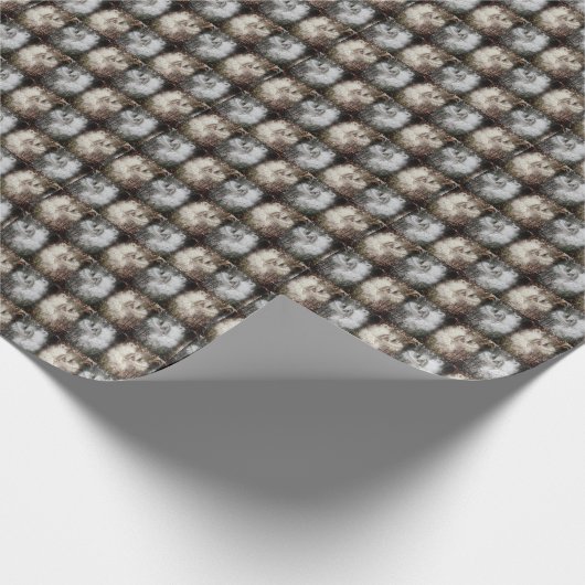 ミルクウィードのポッドを開く |シルクの種子 |フィルタ ラッピングペーパー (角)