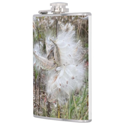 ミルクウィードのポッドを開く |シルクの種子 | フラスク (左)