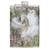 ミルクウィードのポッドを開く |シルクの種子 | フラスク (正面)