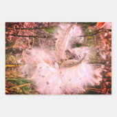 ミルクウィードのポッドを開く |シルクの種子 | ラッピングペーパーシート (正面3)