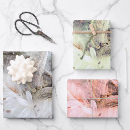 ミルクウィードのポッドを開く |シルクの種子 | ラッピングペーパーシート