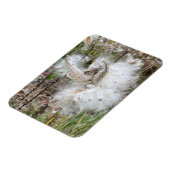 ミルクウィードのポッドを開く |シルクの種子 |柔軟 マグネット (左側)