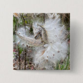 ミルクウィードのポッドを開く |シルクの種子 | 缶バッジ (正面)