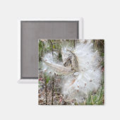 ミルクウィードのポッドを開く |シルクの種子 | Office マグネット (正面/裏面)