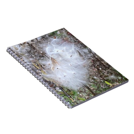 ミルクウィードの種子とシルクスパイラル ノートブック (右側)
