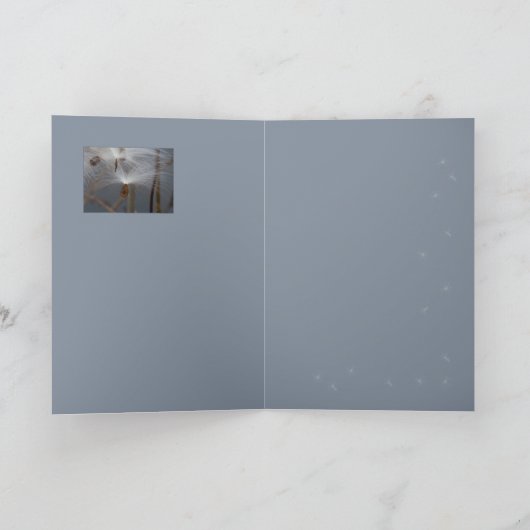 ミルクウィードの種子 カード (内部)