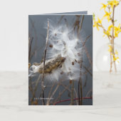 ミルクウィードの種子 カード (黄色い花)