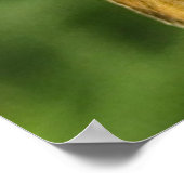 ミルクウィードの船長 ポスター (角)