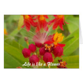 ミルクウィードアーカラフルトプリントのラブリーフローラ (正面横)