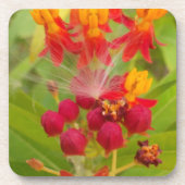 ミルクウィードアーカラフルトプリントのラブリーフローラ コースター (正面)