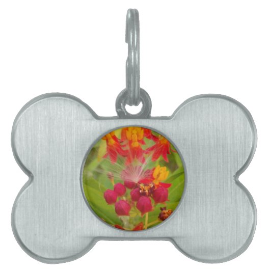 ミルクウィードアーカラフルトプリントのラブリーフローラ ペットネームタグ (正面)