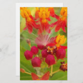 ミルクウィードアーカラフルトプリントのラブリーフローラ 便箋 (正面/裏面)