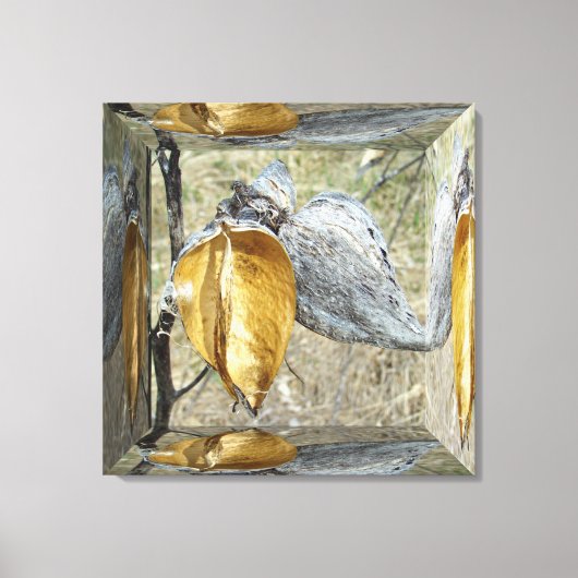 ミルクウィードポッド – 鏡ボックス キャンバスプリント (正面)