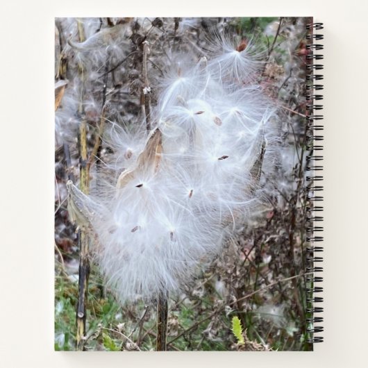ミルクウィード種子とシルクカスタム ノートブック (裏面)