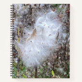 ミルクウィード種子とシルクカスタム ノートブック (正面)