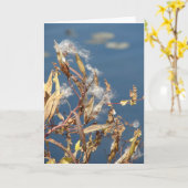 ミルクウィード自然地区 カード (黄色い花)