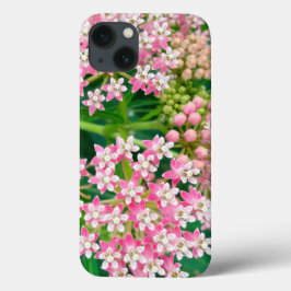 ミルクウィード赤アスレピアスマー開花 iPhone 13ケース
