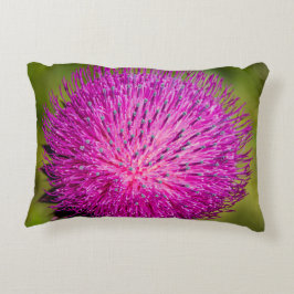 ミルクチスルが閉まっている アクセントクッション