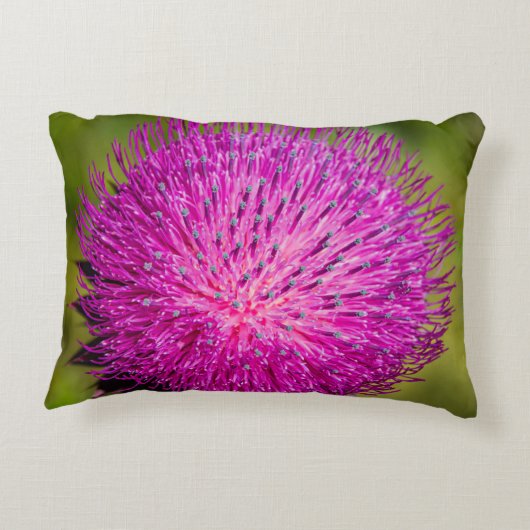 ミルクチスルが閉まっている アクセントクッション (裏面)