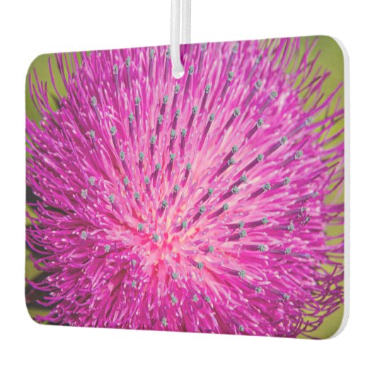 ミルクチスルが閉まっている カーエアーフレッシュナー (左)