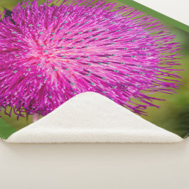 ミルクチスルが閉まっている シェルパブランケット