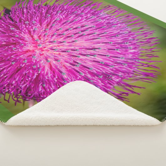 ミルクチスルが閉まっている シェルパブランケット (3/4)