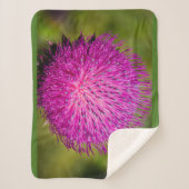 ミルクチスルが閉まっている シェルパブランケット (正面)