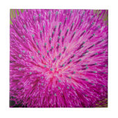 ミルクチスルが閉まっている タイル (正面)