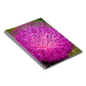 ミルクチスルが閉まっている ノートブック (右側)