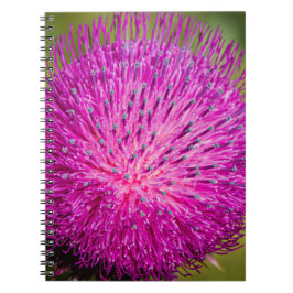 ミルクチスルが閉まっている ノートブック