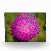 ミルクチスルが閉まっている フォトブロック (正面)