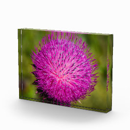 ミルクチスルが閉まっている フォトブロック