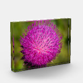 ミルクチスルが閉まっている フォトブロック (左)