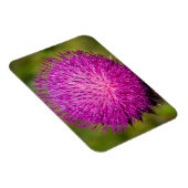 ミルクチスルが閉まっている マグネット (右側)