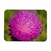 ミルクチスルが閉まっている マグネット (横)