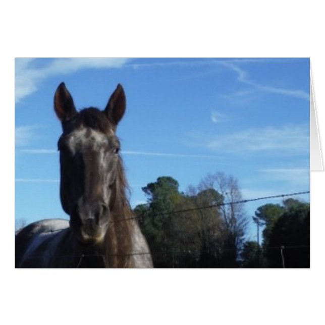 ミルクチョコレートブラウン馬ブルー (正面横)