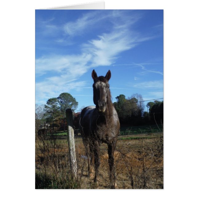 ミルクチョコレートブラウン馬ブルー (正面)