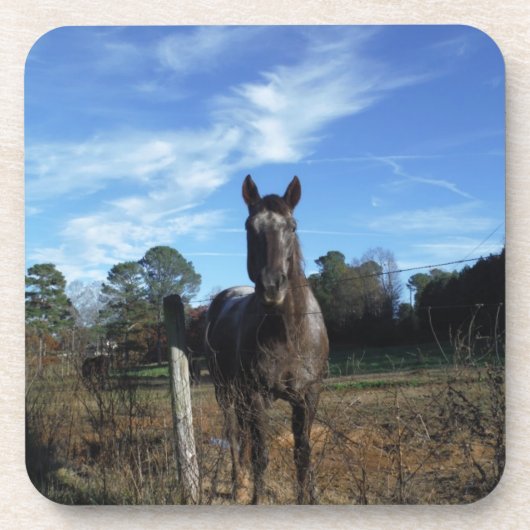 ミルクチョコレートブラウン馬ブルー コースター (正面)